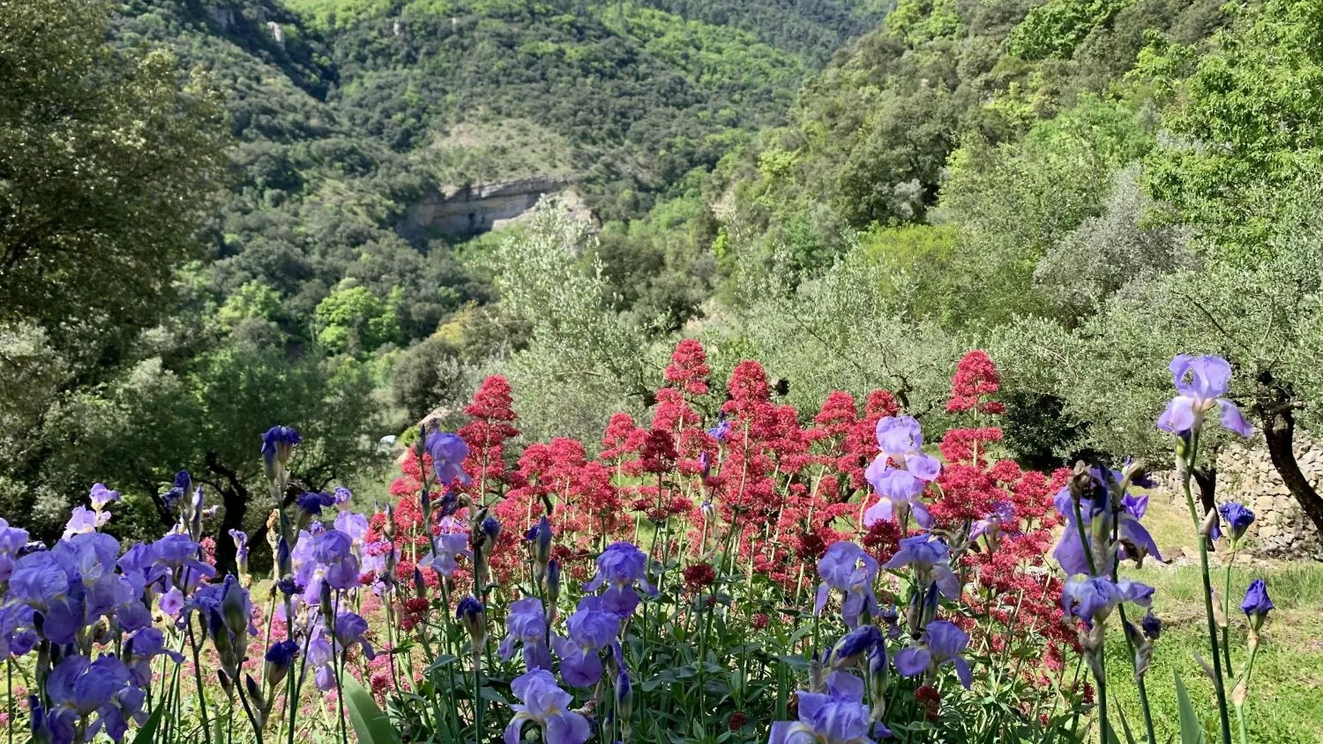 Villa Luminieres I Les Salelles